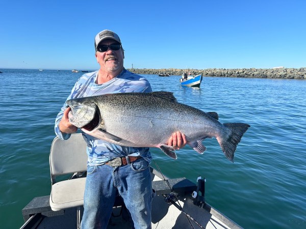 behemoth chinook salmon oregon