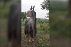 damascus goat weird animal