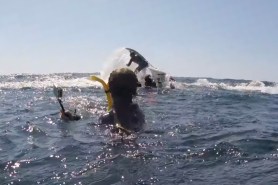 man gets thrown by whale australia