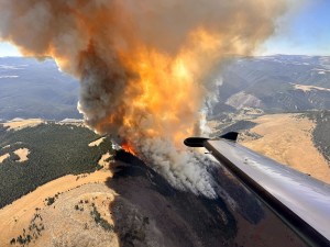 elk wildfire wyoming