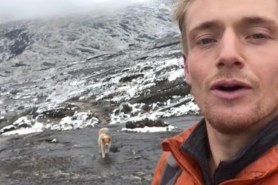 hiker finds dog in Peru