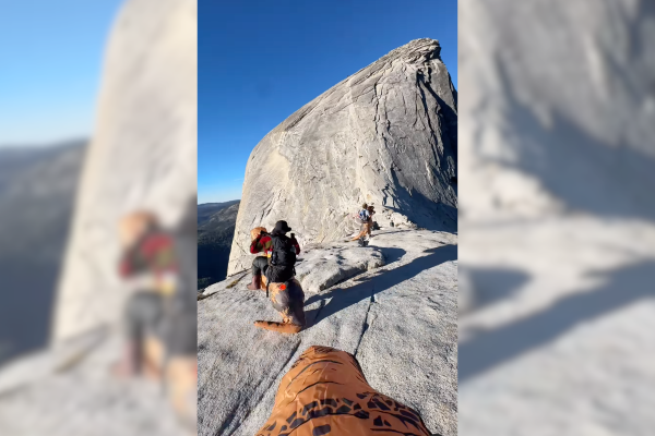 Half Dome in dino costumes