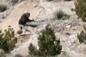 Bigfoot sighting navajo nation