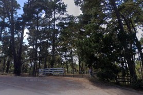 man tied hiker to a tree pebble beach google street view