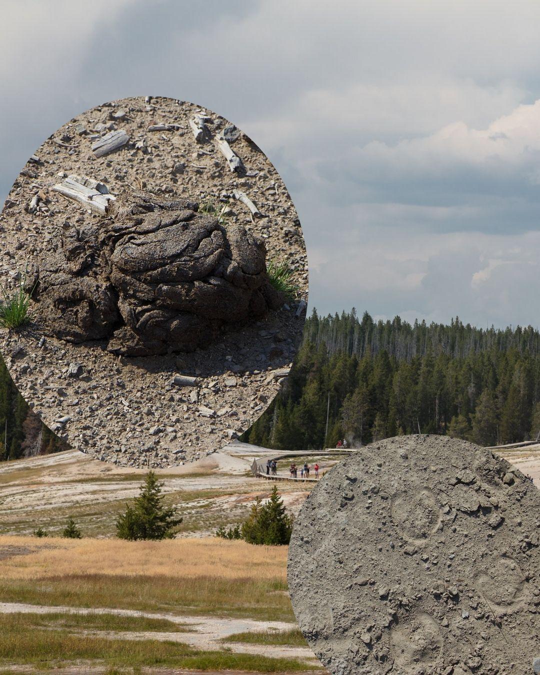 yellowstone poo 4