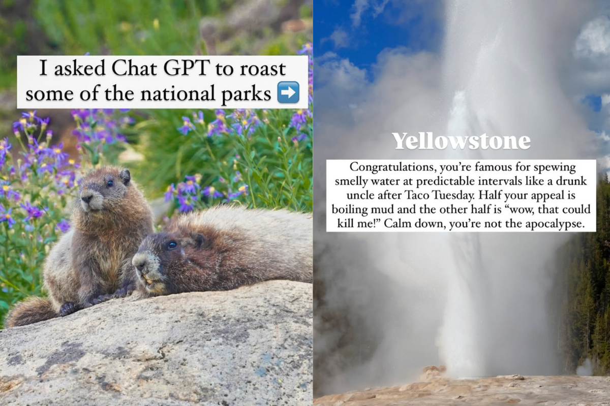 chatgpt roasts national parks