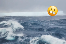 crazy waves visit antarctica