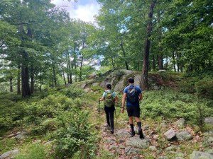 dater mountain most searched for hiking trails