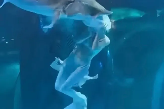 Giant Fish Bites Mermaid's Head During Aquarium Performance