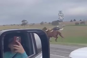 horseback rider hits road sign Texas Pony Express