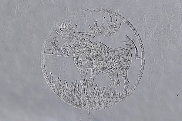 snow moose art