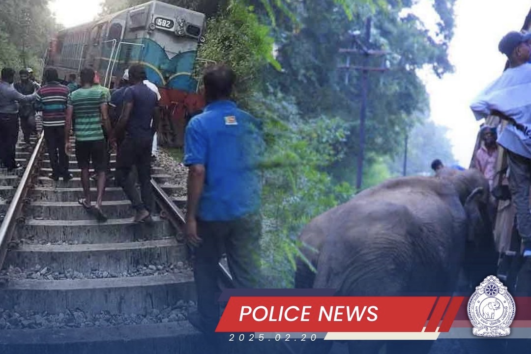 train collides elephants