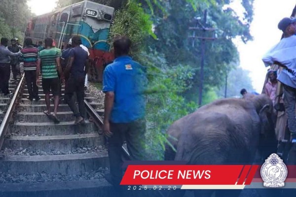 train collides elephants