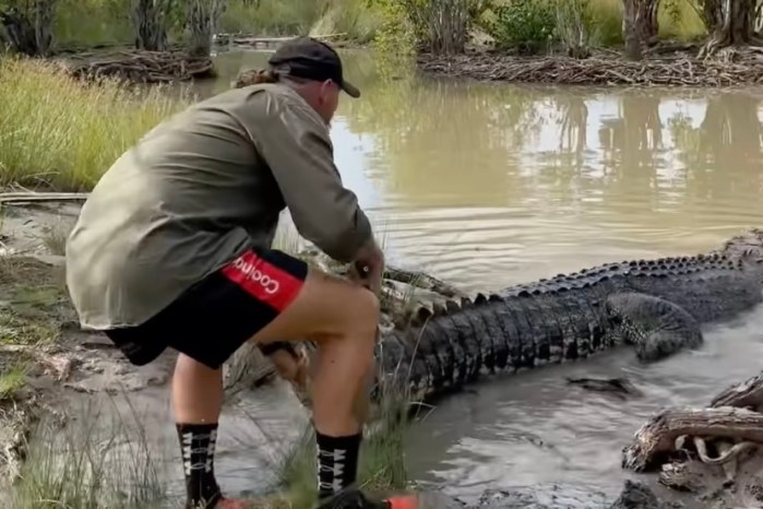 man massive crocodile
