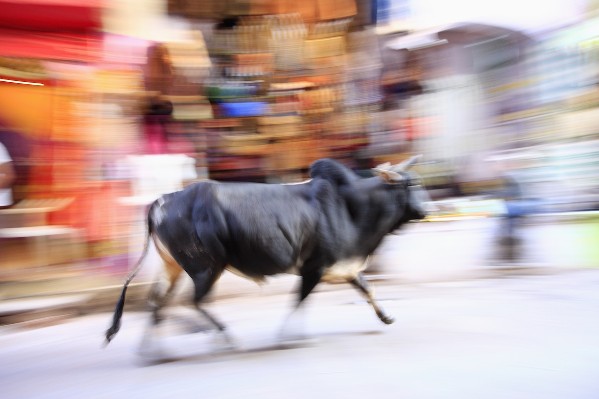 bull scooter india