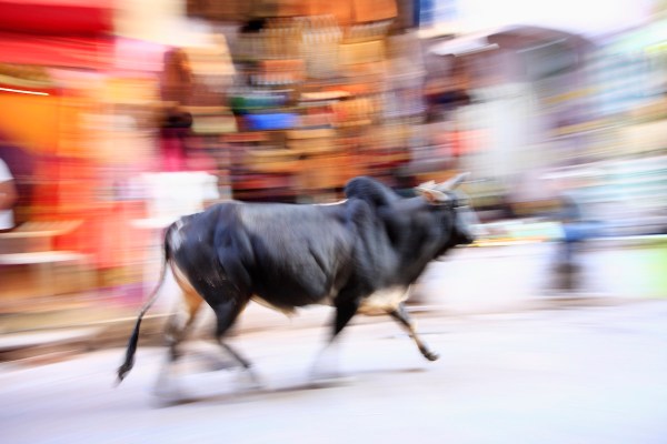 bull scooter india