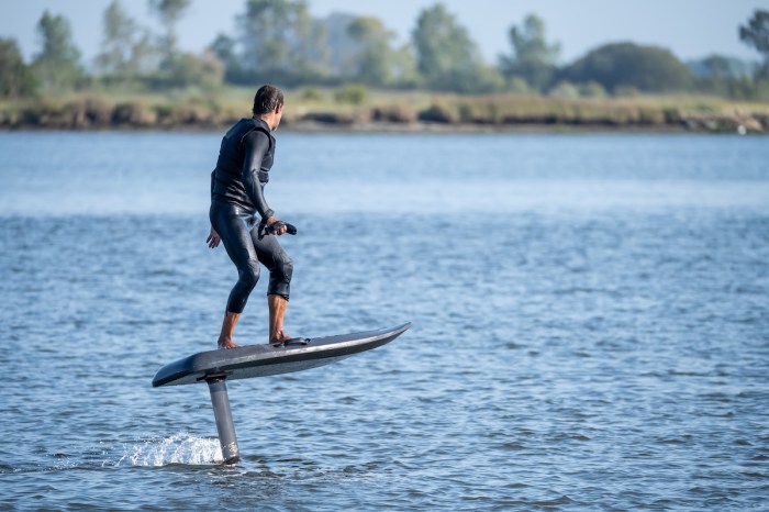 dolphins foil surfing