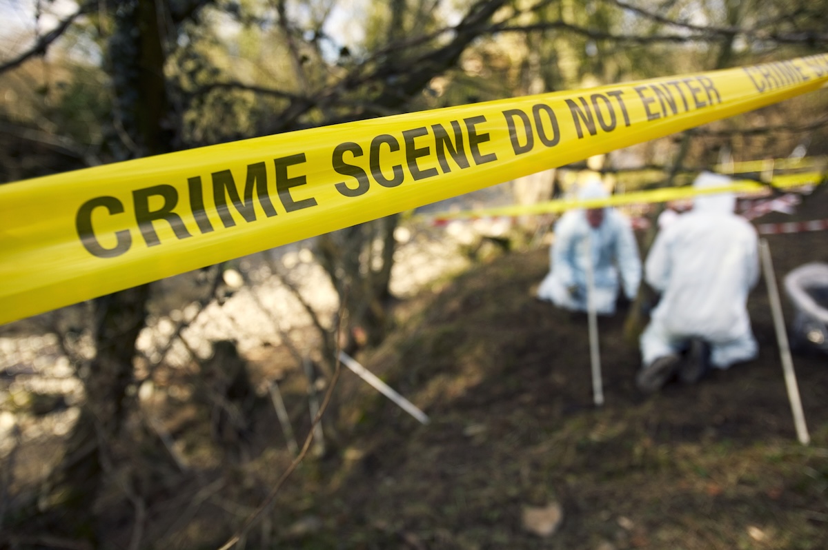hiker homemade explosive devices