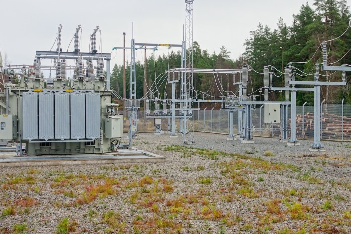 snake power outage North Carolina