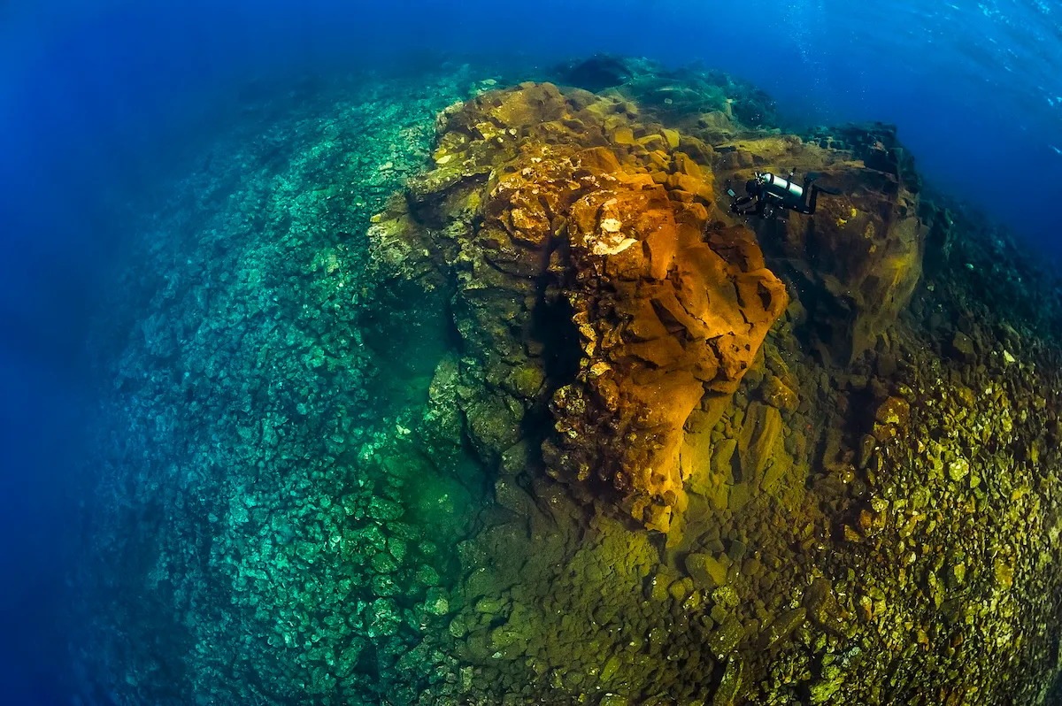 Featured Image