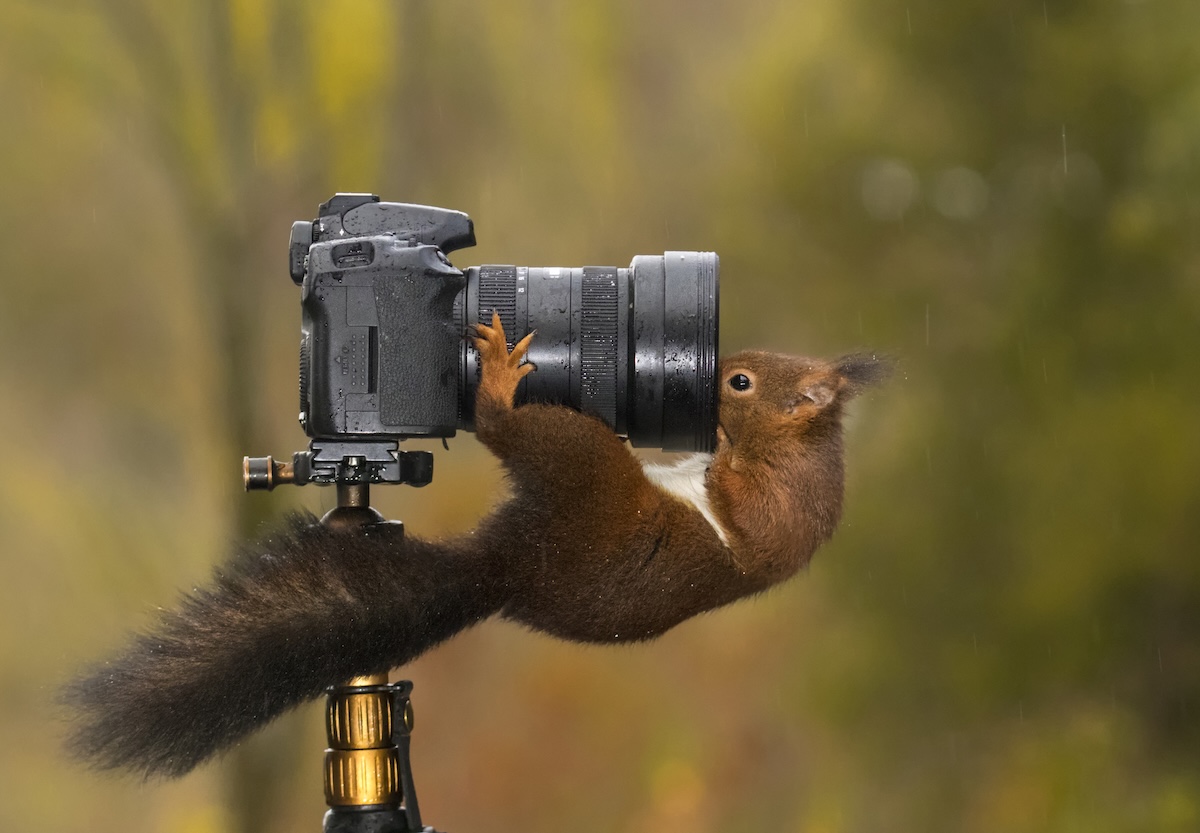 Featured Image