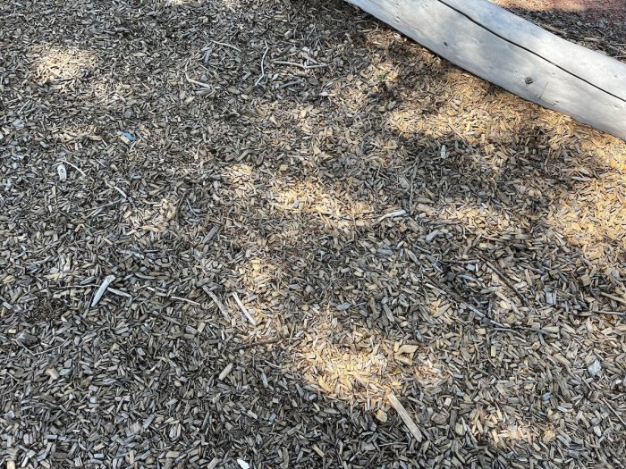 rattlesnake playground cover