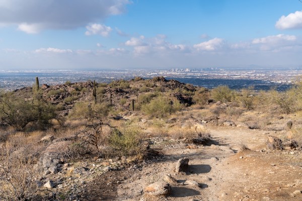 family rescue arizona