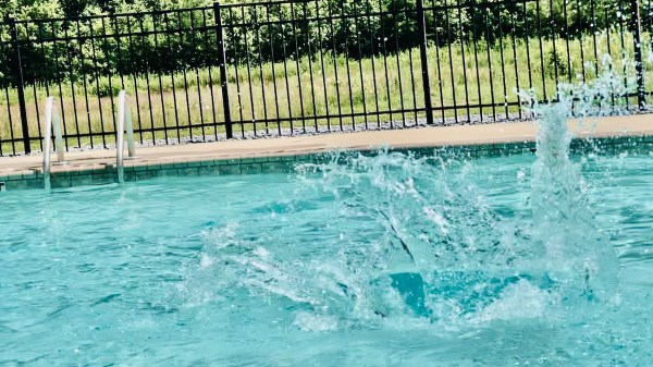 man rescues drowning animal marmot