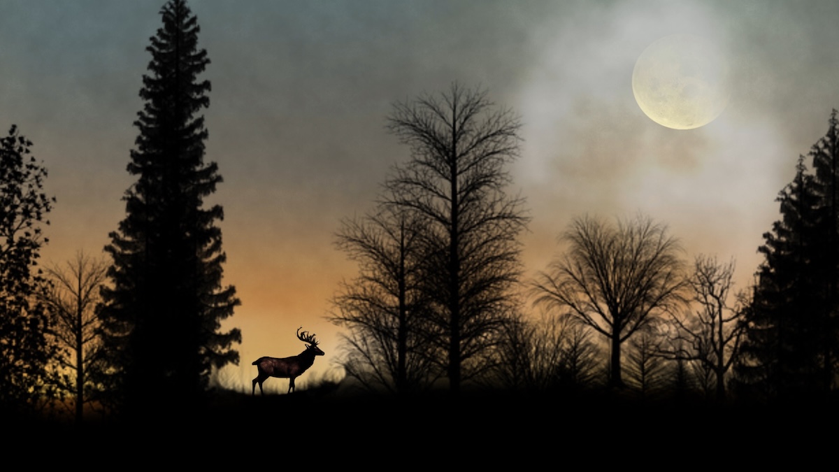 Featured Image