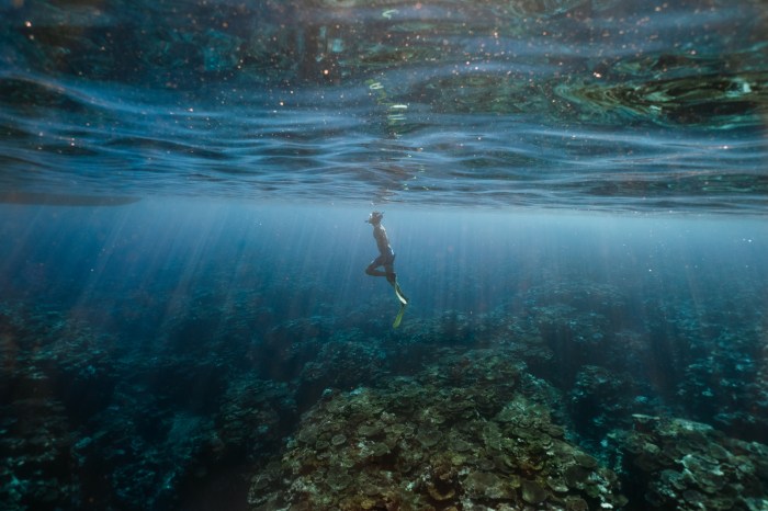 Someone diving underwater