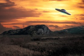 UFO playing fetch