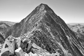 mountain goat 14er
