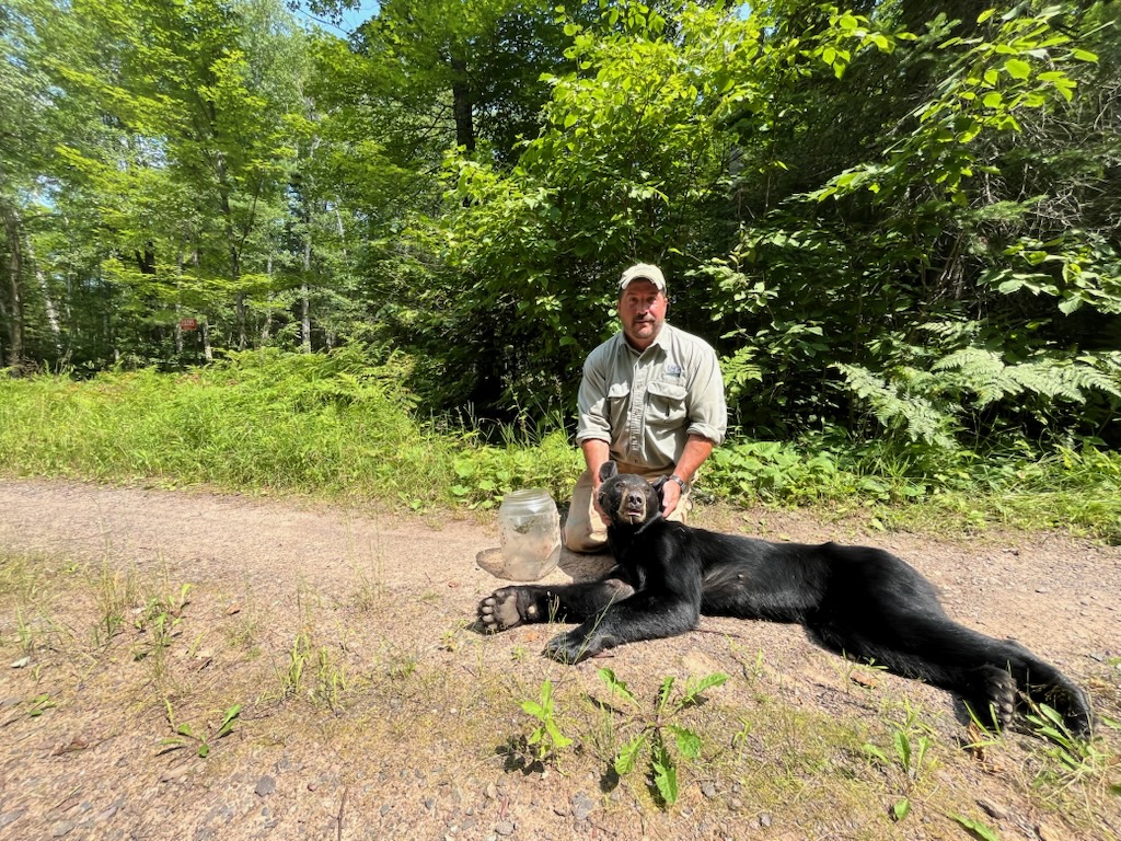 bear jug freed