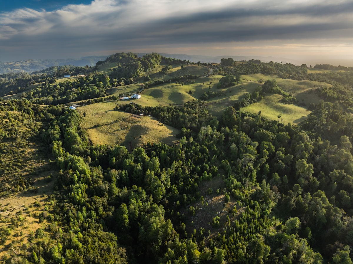 Laura contreras nude