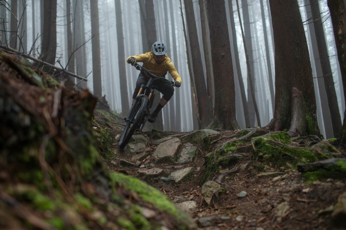 A mountain biker riding in the woods.