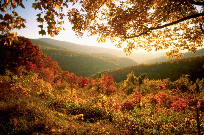 Fall foliage in Shenandoah with yellows and reds