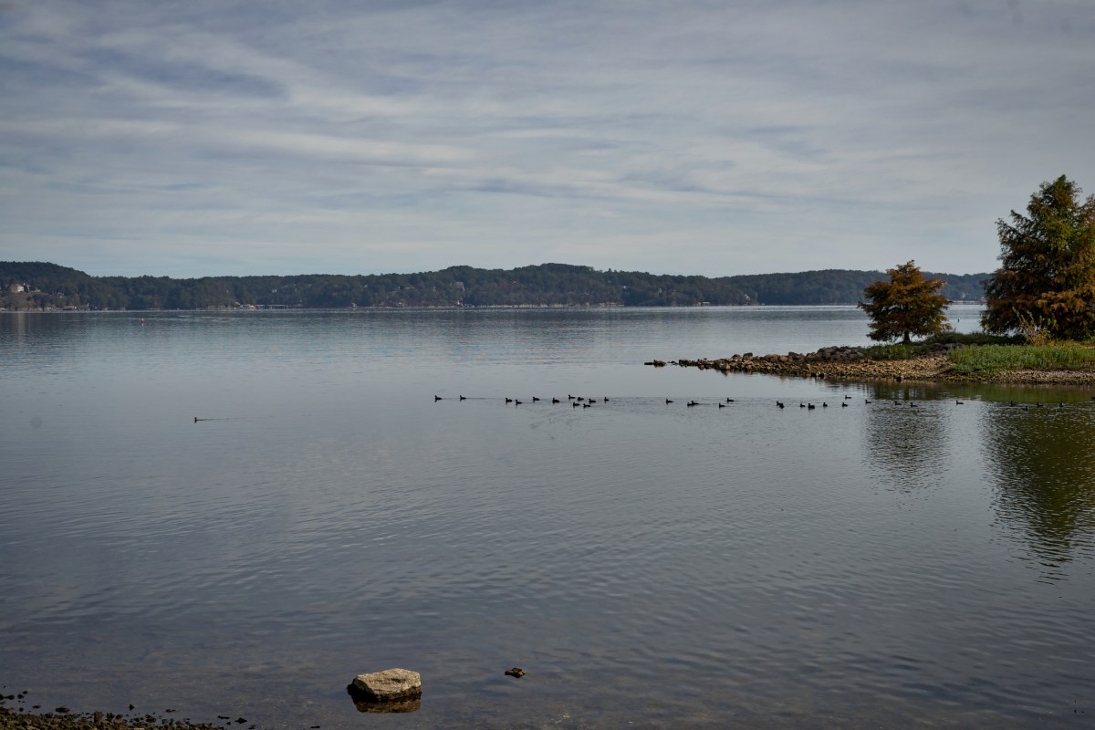 A river