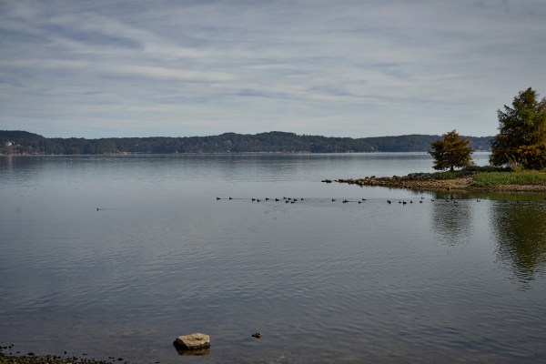 A river