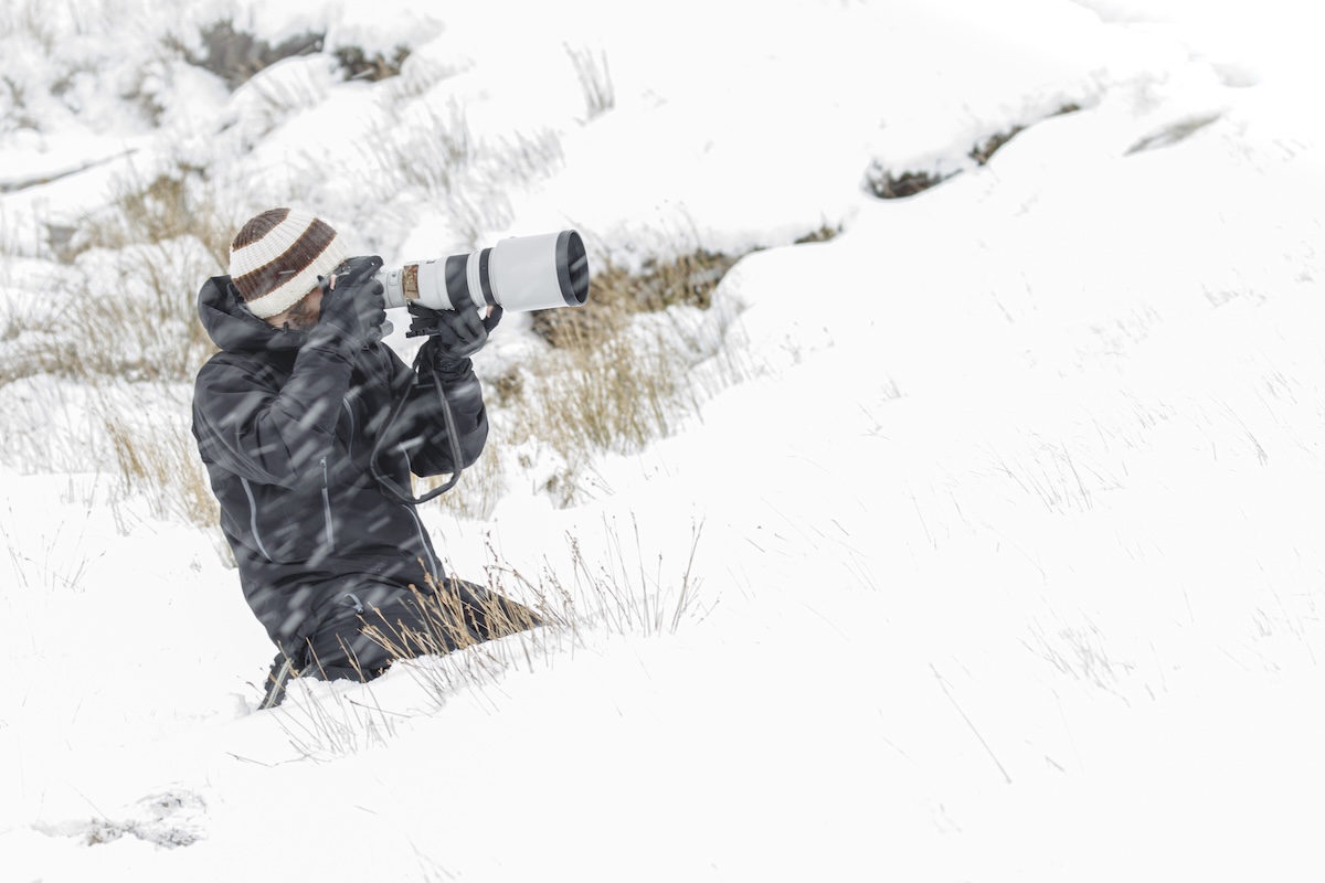 shot 50 million views