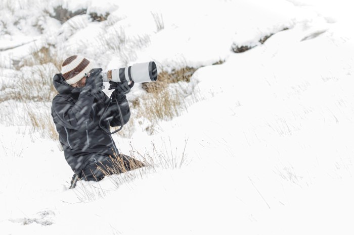 shot 50 million views