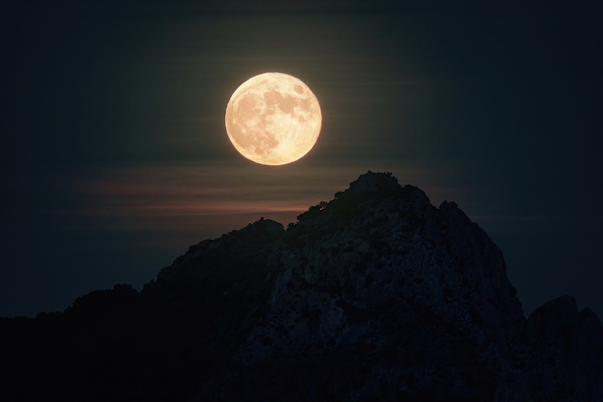 Featured Image