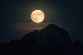 harvest moon pumpkin rock