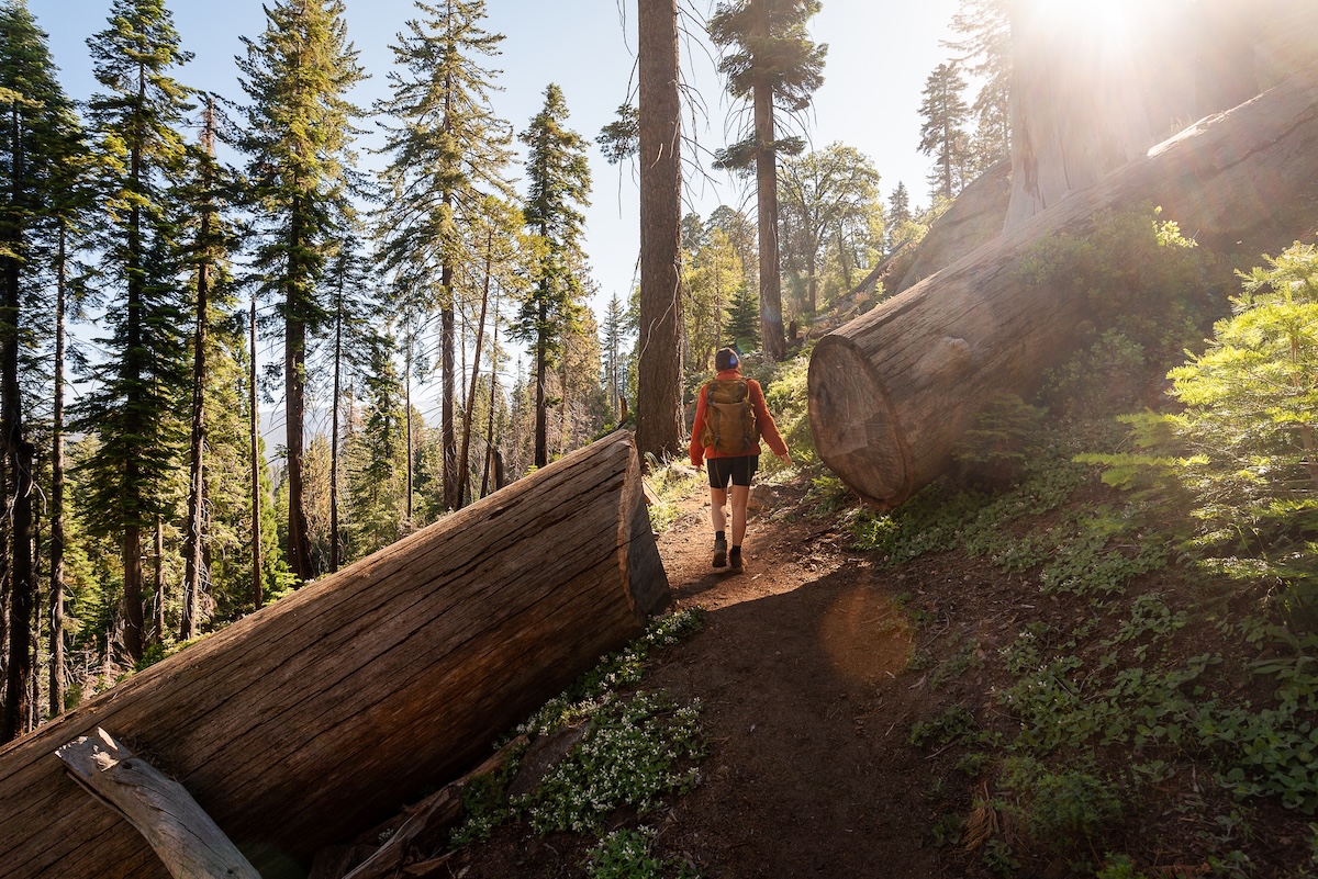 Study Ranks 50 U.S. States for Hiking—See the Top 10