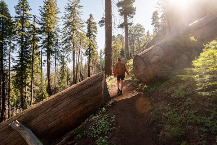 top 10 states for hiking