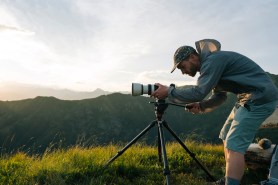 mountain lion views million
