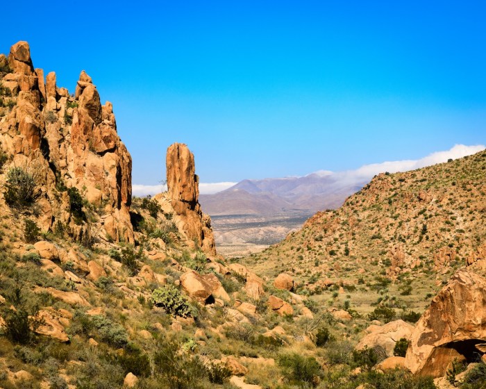Big Bend National Park hikers mountain lion