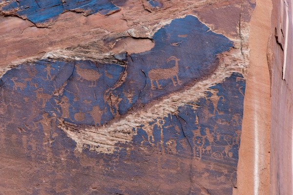 Petroglyphs vandal