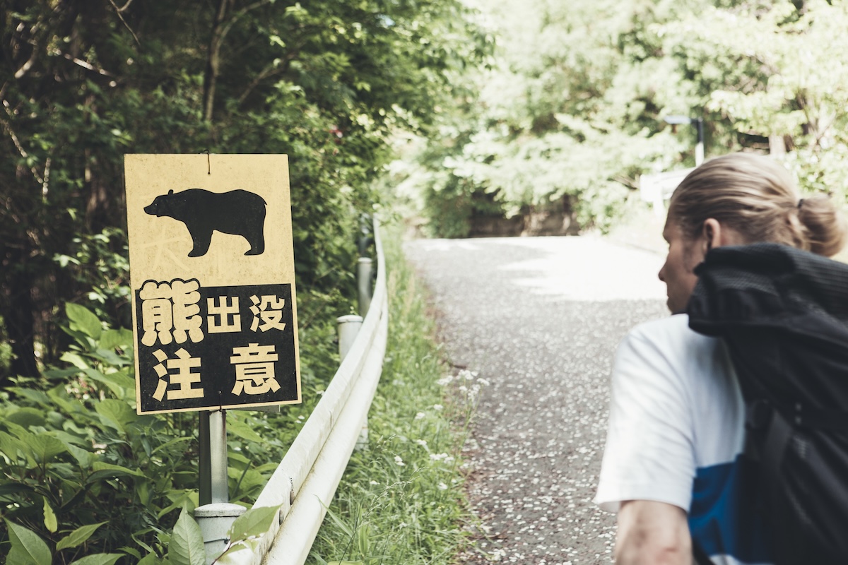 U.S. Government Warns Americans in Japan About Bear Attacks