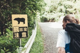 bear attacks japan