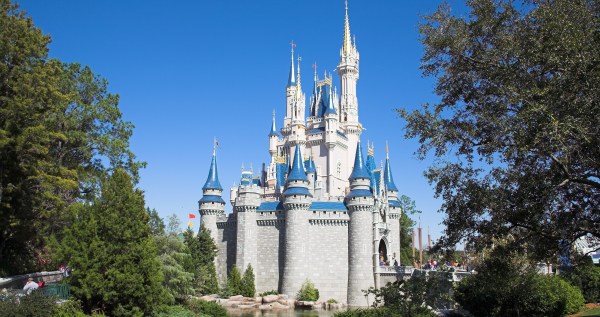 An Opossum Surprises Disney Diners